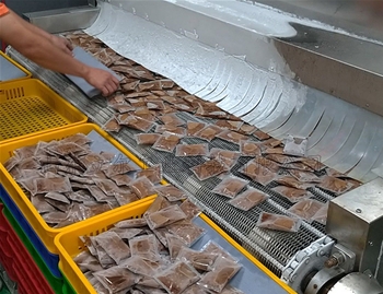 隧道式速凍機使用現場